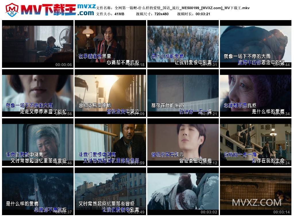 全网第一锦鲤-什么样的爱情_国语_流行_ME500199